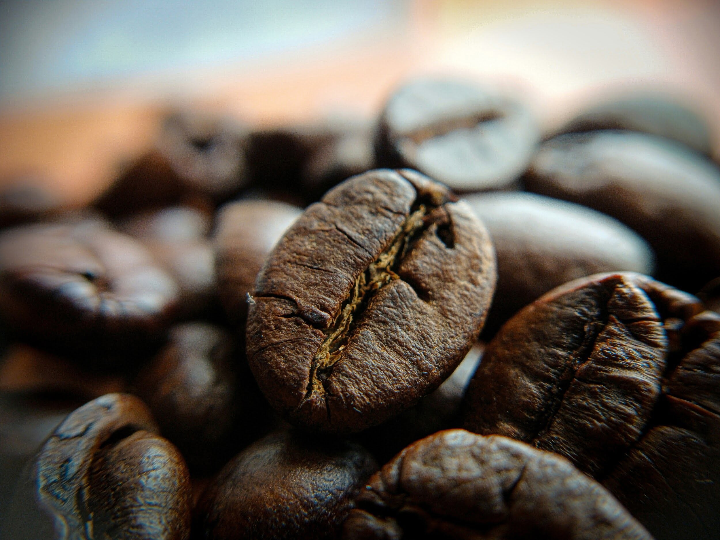 Close-up of specialty-grade blended coffee beans roasted to order at Wonder Waves Coffee