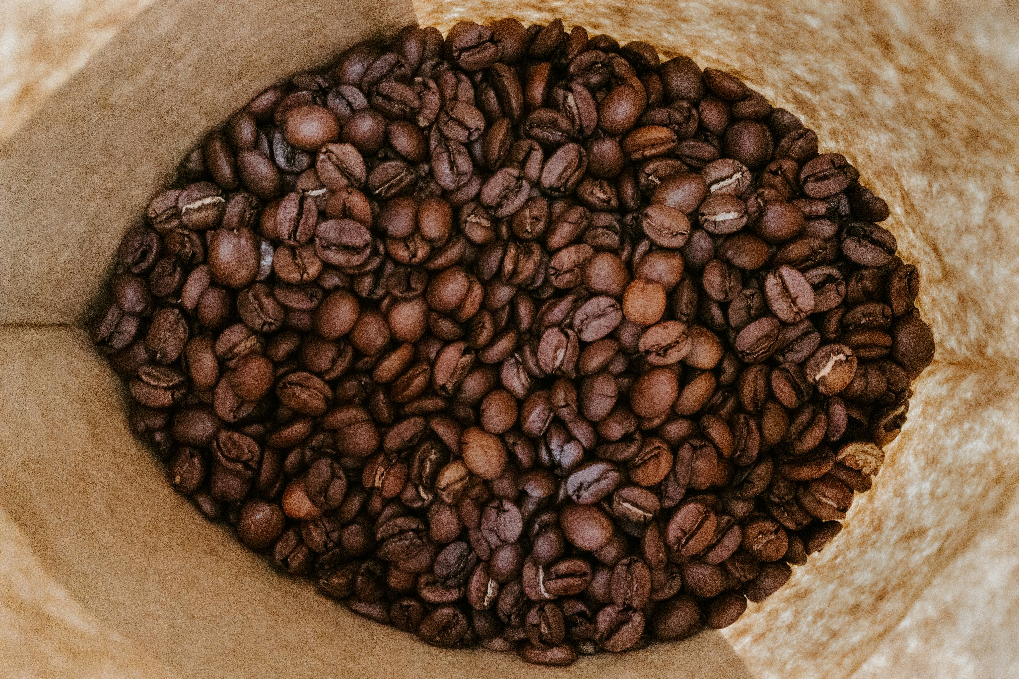 Bulk specialty coffee beans roasted to order in a kraft paper bag — Wonder Waves Coffee value packs