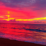 Horizon Hues: Hibiscus Berry Rooibos 〰 Artisan Loose Leaf Tea (Flavored) [Caffeine Free]