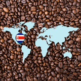 Surfer's Swell: Costa Rica 〰 Single-Origin Specialty Coffee (Light-Medium Roast)
