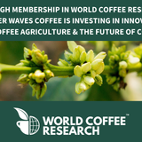 Coral Cove: Honduras 〰 Organic Single-Origin Specialty Coffee (Medium-Dark Roast)
