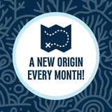 Captain's Compass | Coffee Of The Month Subscription 〰 Single-Origin Micro-Lot Specialty Coffee (July 2024: Yirgacheffe, Ethiopia) - Wonder Waves Coffee
