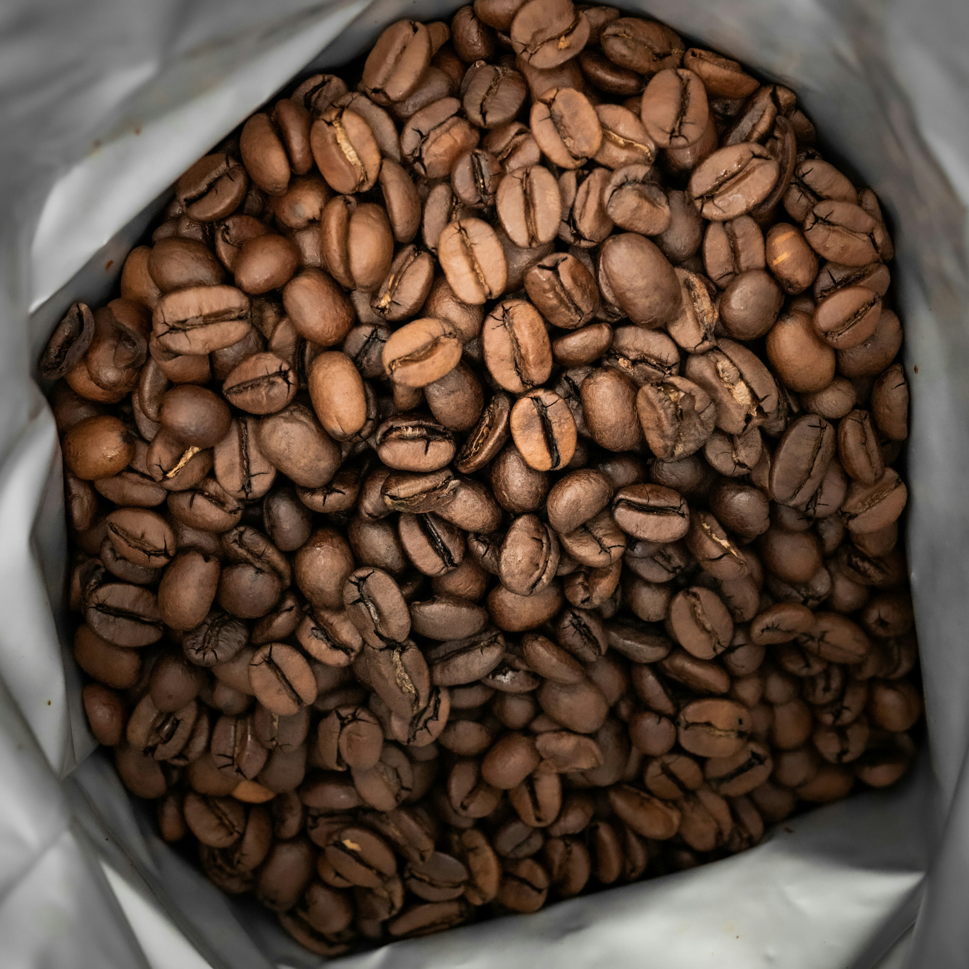 Top-down macro view inside a large 5lb wholesale bag of freshly roasted, medium-blend whole bean coffee