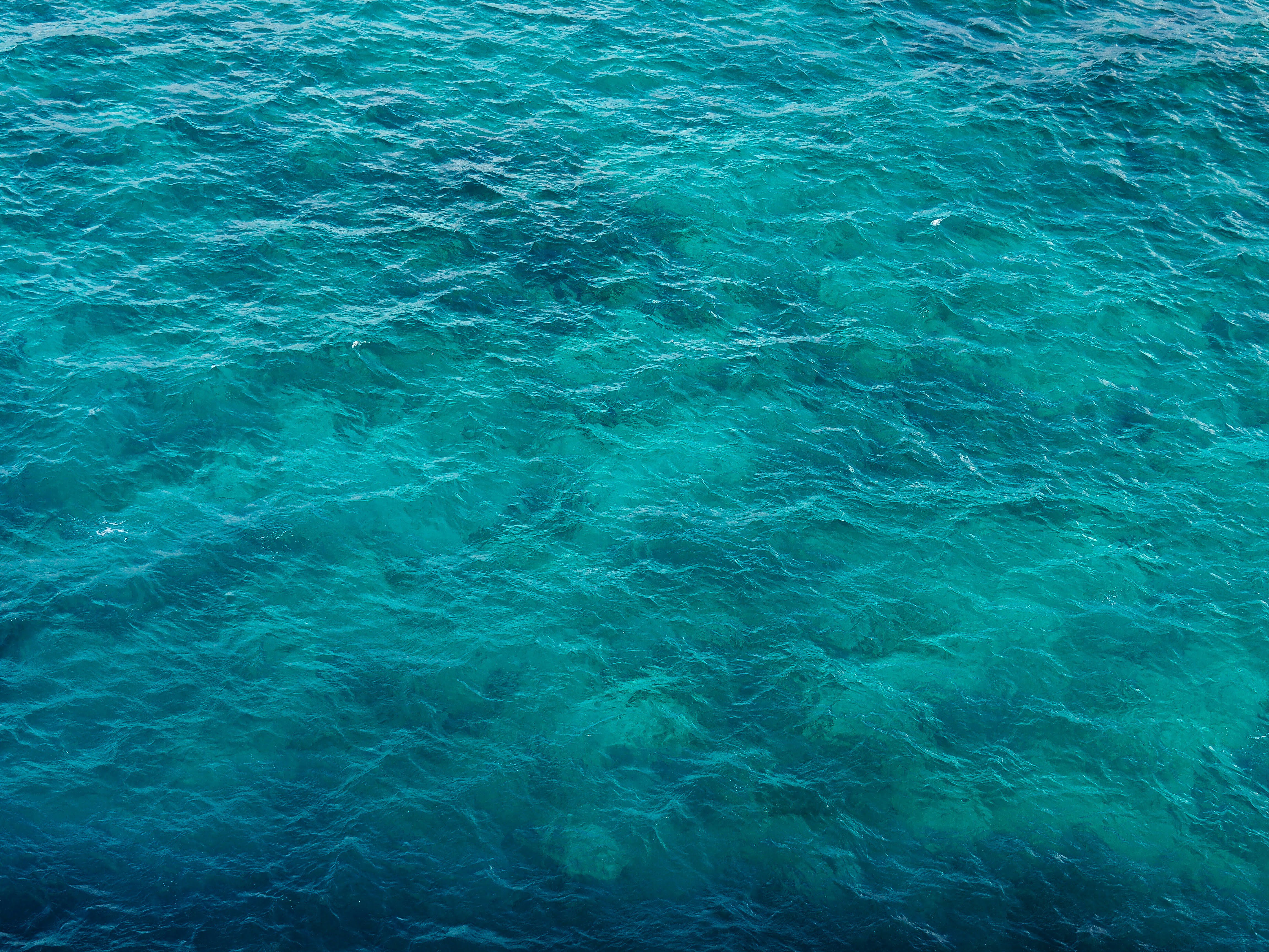 Aerial view of clear turquoise ocean water with gentle surface ripples for Wonder Waves Coffee Ocean Pulse Newsroom.