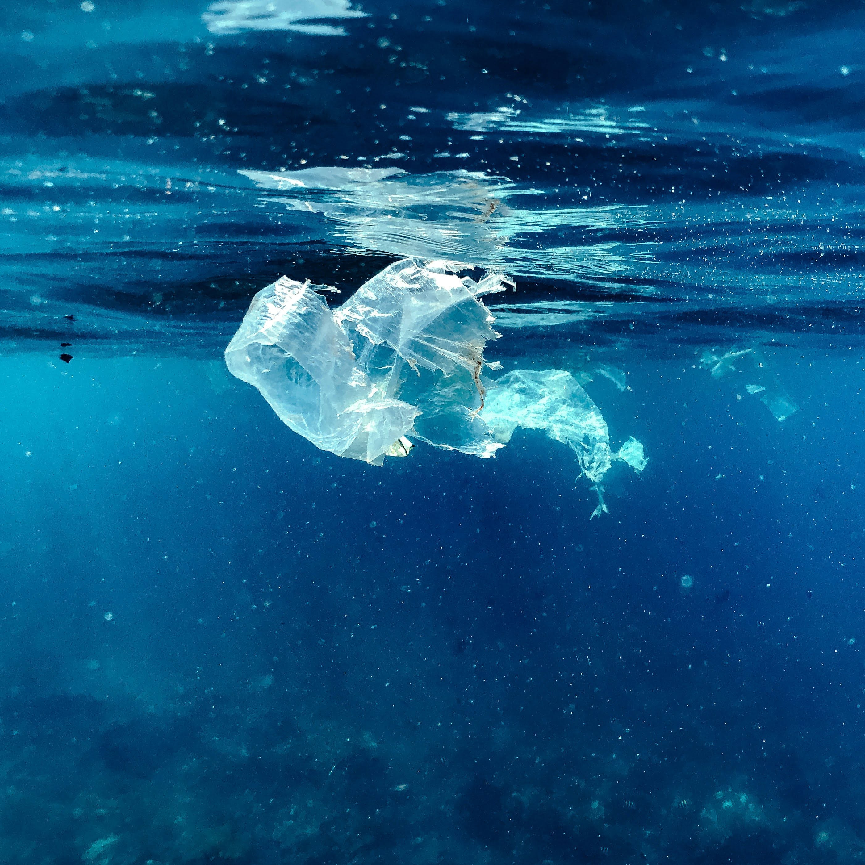 Plastic bag floating in open ocean water below the surface