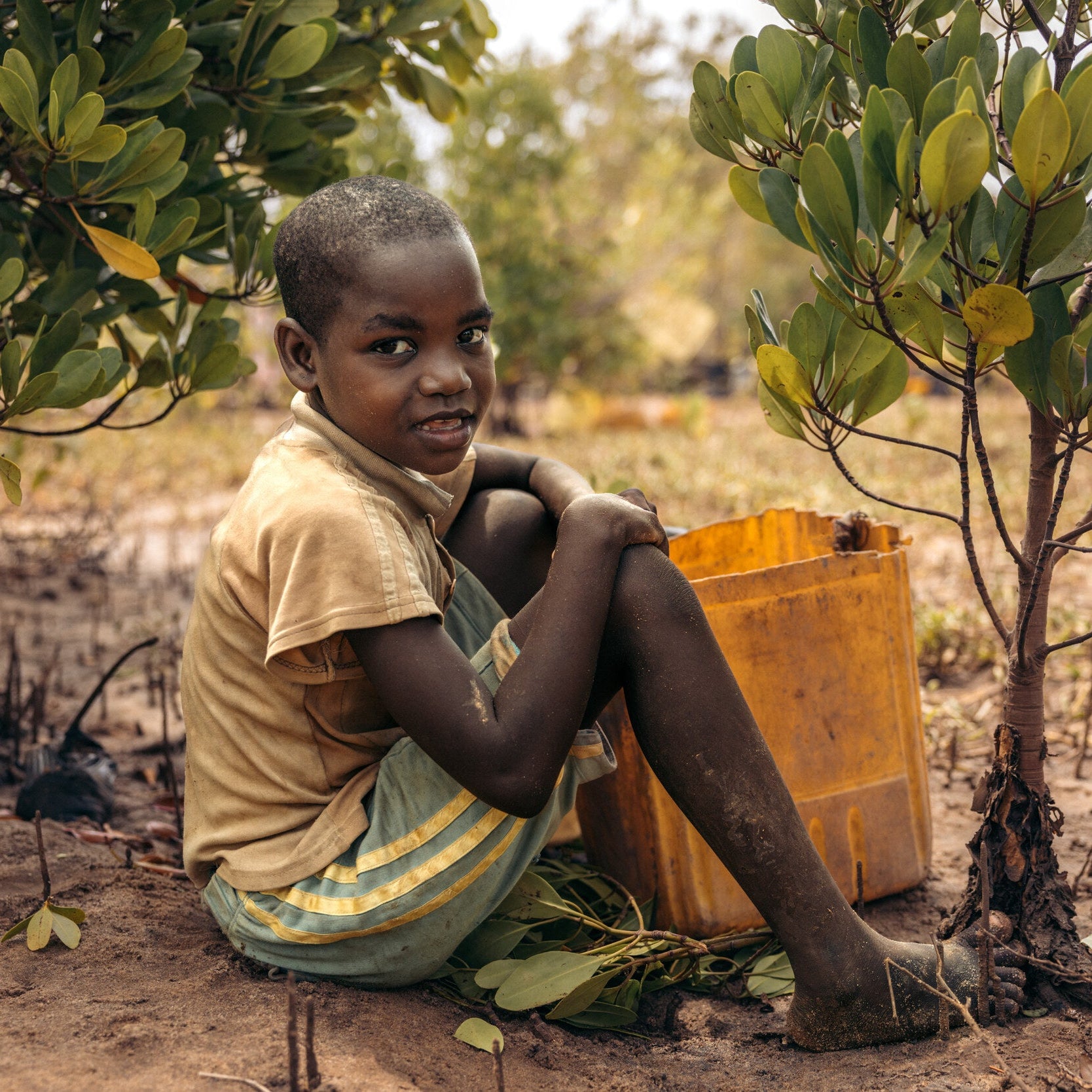 Child sitting among mangrove seedlings at a Kenya planting site
