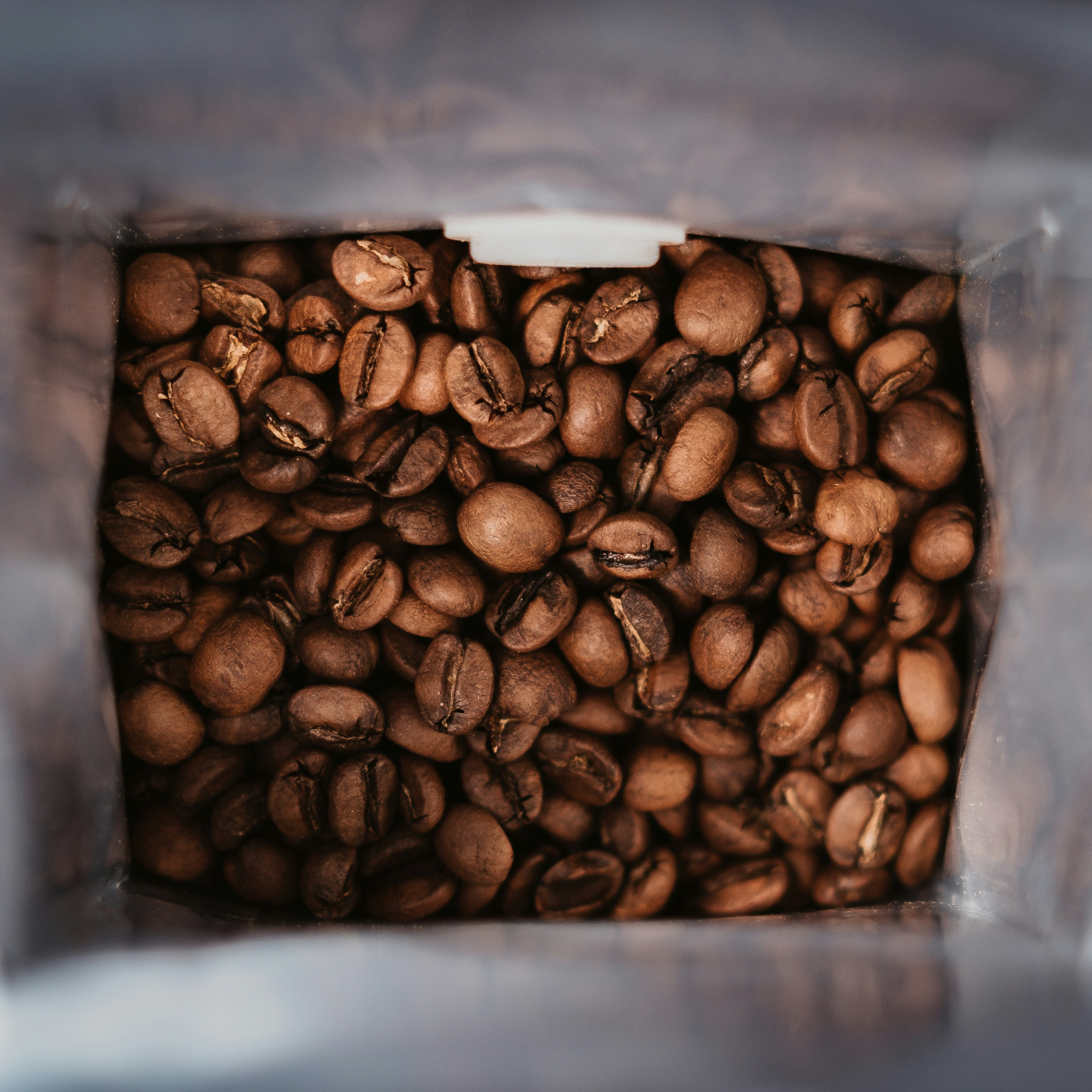 Close-up view looking into a open 12oz retail bag of premium roasted coffee beans, showcasing the fresh, uniform roast