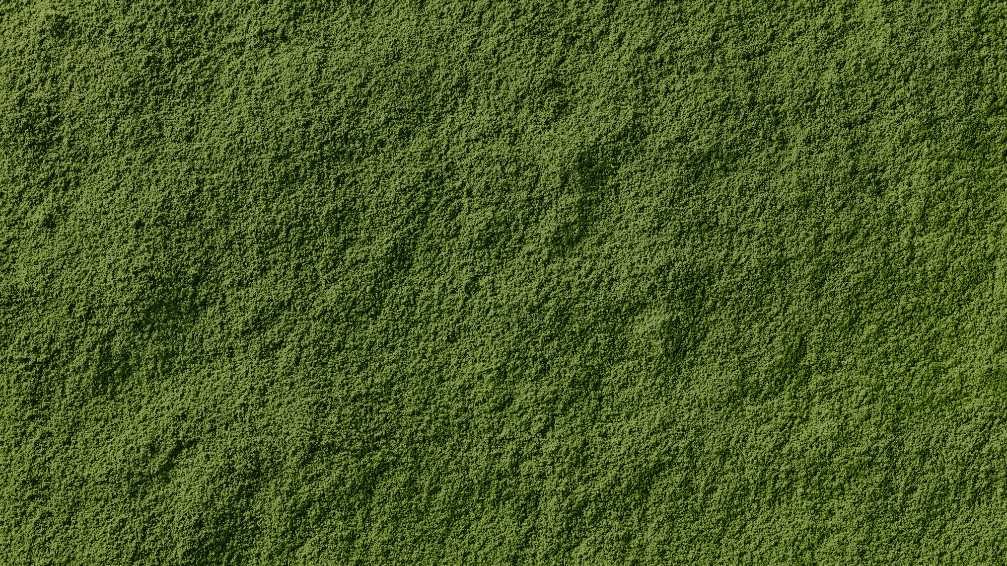 Fine stone-milled ceremonial grade Japanese matcha powder showcasing a vibrant electric green texture.