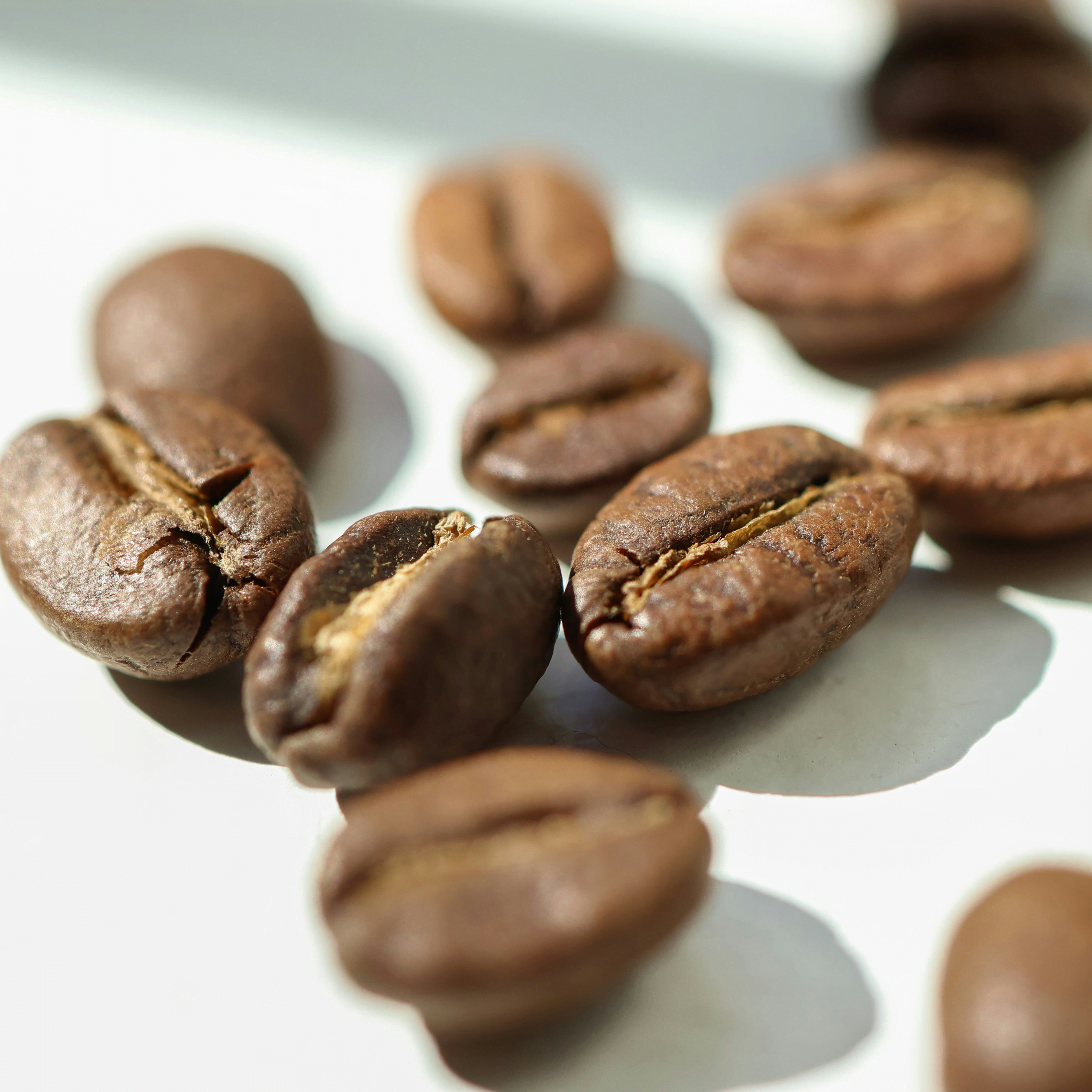 Close-up of specialty roasted coffee beans on a white surface, representing Wonder Waves blend coffee subscription