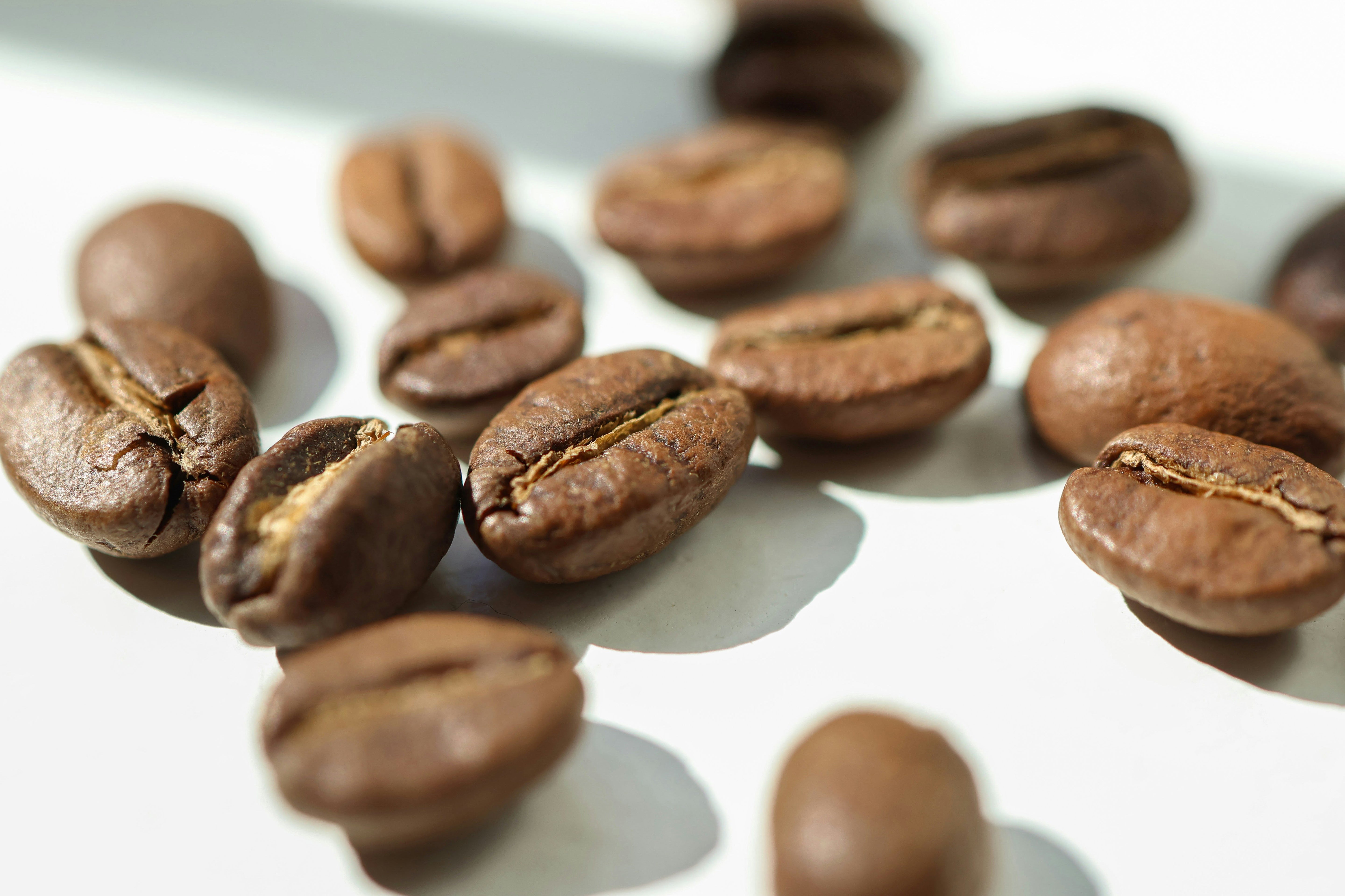 Close-up of specialty roasted coffee beans on a white surface, representing Wonder Waves blend coffee subscription