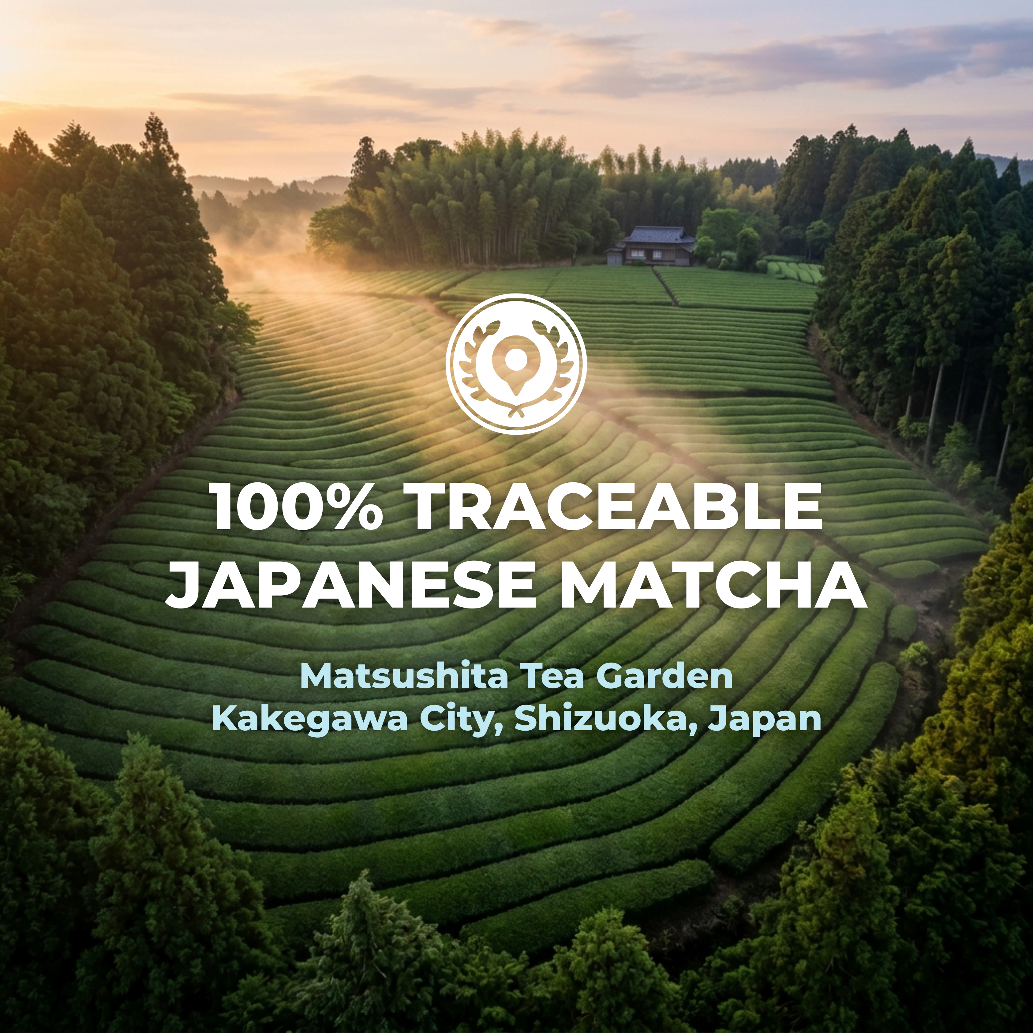Aerial view of lush green terraced tea fields at Matsushita Tea Garden in Kakegawa City, Shizuoka, Japan. Text overlay highlights "100% TRACEABLE JAPANESE MATCHA" with a location pin icon.