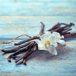 Vanilla beans and white flower on a rustic surface highlighting the smooth, creamy and aromatic notes of Wonder Waves Coffee Mermaid’s Melody French vanilla flavored coffee.
