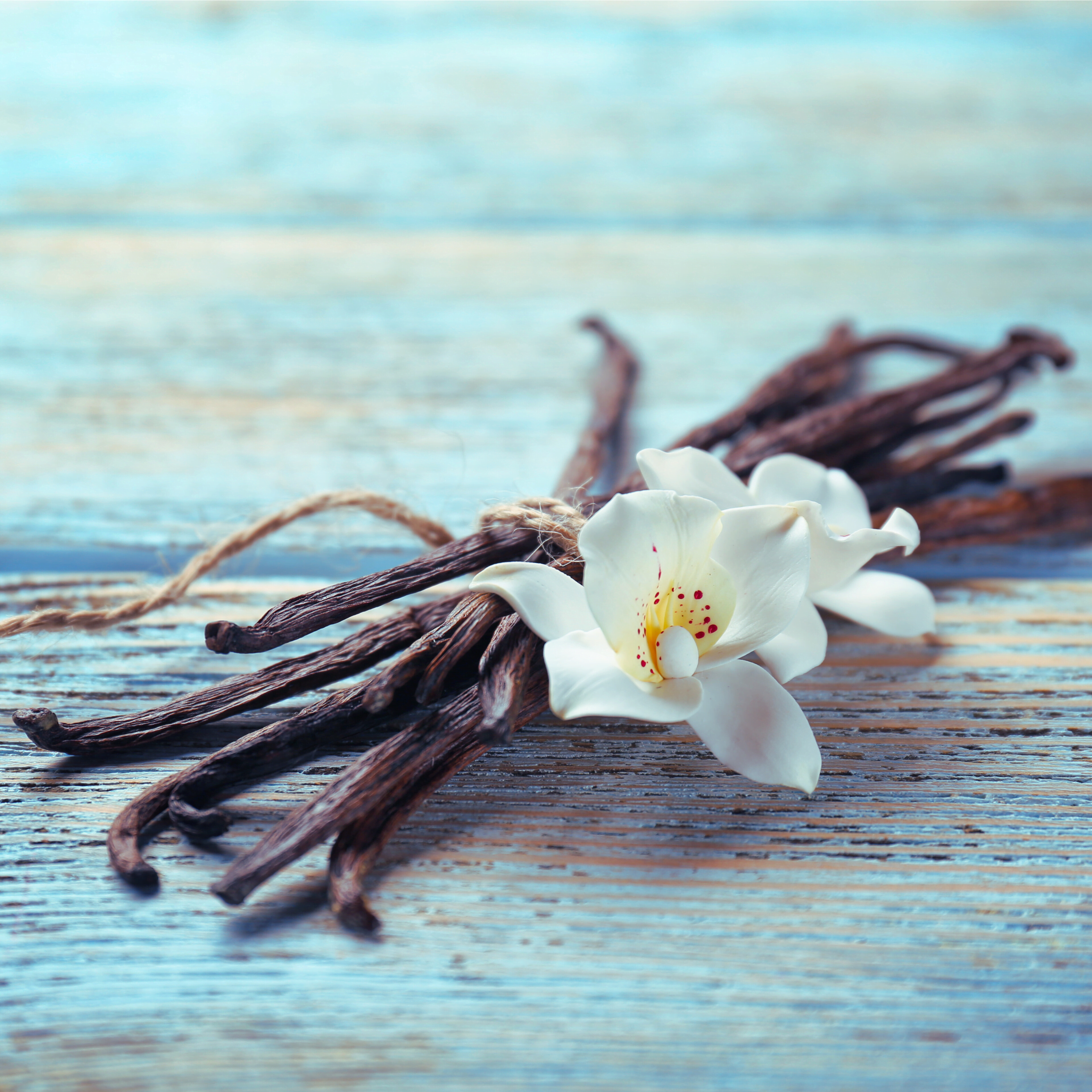 Vanilla beans and white flower on a rustic surface highlighting the smooth, creamy and aromatic notes of Wonder Waves Coffee Mermaid’s Melody French vanilla flavored coffee.