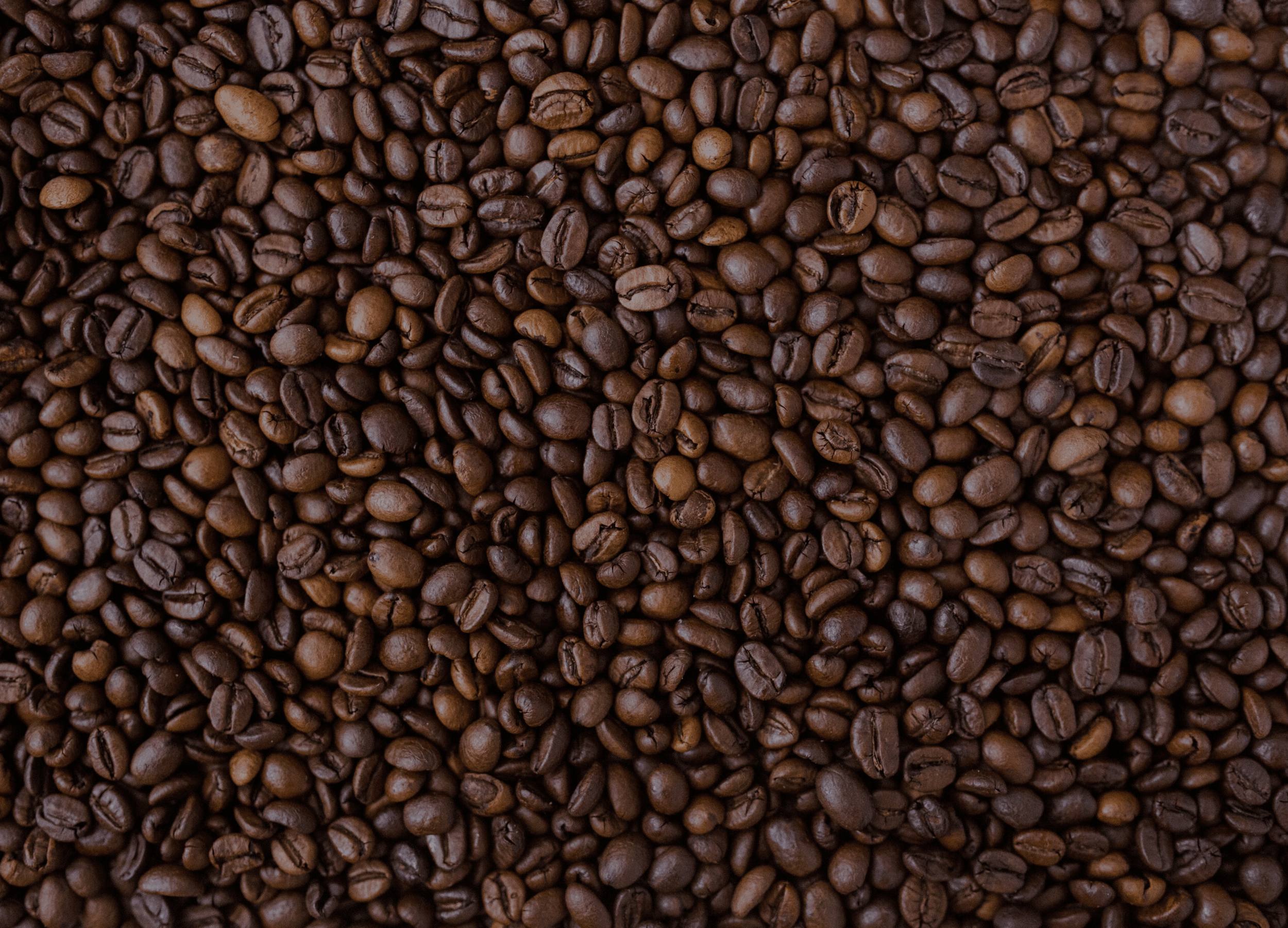 Close-up of freshly roasted specialty coffee beans, whole bean texture from Wonder Waves Coffee